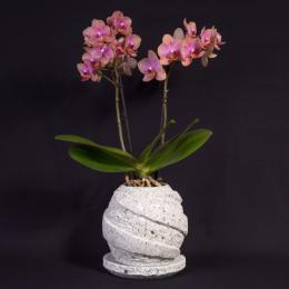 オオヤストーンポット「プラネット」大谷石の植木鉢